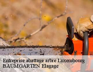 Entreprise abattage arbre LU Luxembourg  BAUMGARTEN Elagage