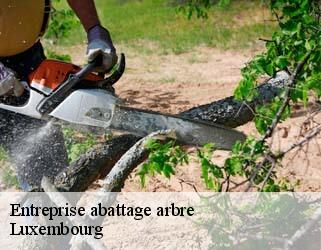 Entreprise abattage arbre Luxembourg 