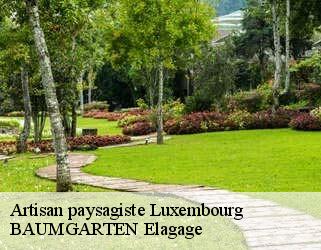 Artisan paysagiste LU Luxembourg  BAUMGARTEN Elagage