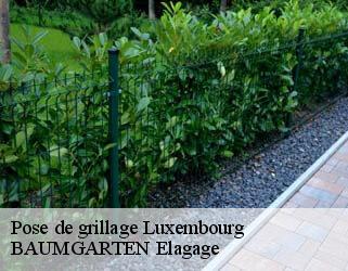 Pose de grillage LU Luxembourg  BAUMGARTEN Elagage