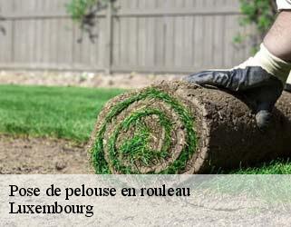 Pose de pelouse en rouleau Luxembourg 