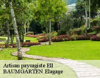 Artisan paysagiste  ell- BAUMGARTEN Elagage