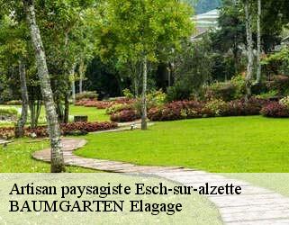 Artisan paysagiste  esch-sur-alzette- BAUMGARTEN Elagage