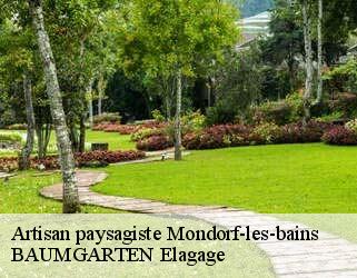 Artisan paysagiste  mondorf-les-bains- BAUMGARTEN Elagage