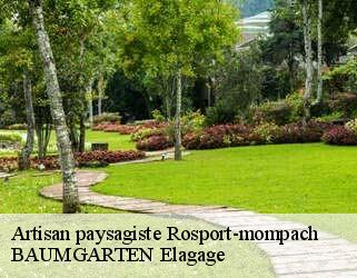 Artisan paysagiste  rosport-mompach- BAUMGARTEN Elagage