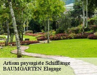 Artisan paysagiste  schifflange- BAUMGARTEN Elagage