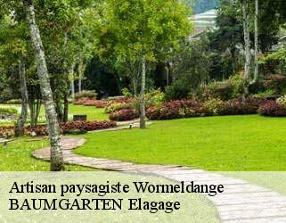 Artisan paysagiste  wormeldange- BAUMGARTEN Elagage