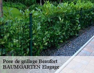 Pose de grillage  beaufort- BAUMGARTEN Elagage