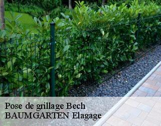 Pose de grillage  bech- BAUMGARTEN Elagage