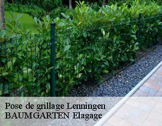 Pose de grillage lenningen- BAUMGARTEN Elagage