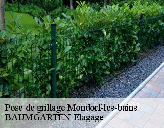 Pose de grillage  mondorf-les-bains- BAUMGARTEN Elagage