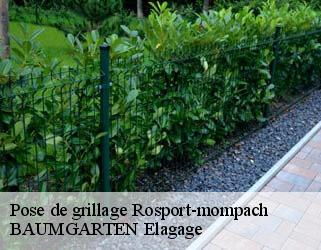 Pose de grillage  rosport-mompach- BAUMGARTEN Elagage