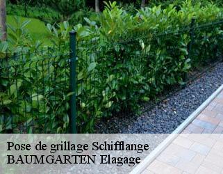 Pose de grillage  schifflange- BAUMGARTEN Elagage