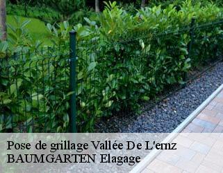 Pose de grillage  vallee-de-l-ernz- BAUMGARTEN Elagage