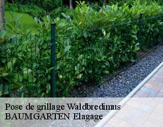 Pose de grillage  waldbredimus- BAUMGARTEN Elagage