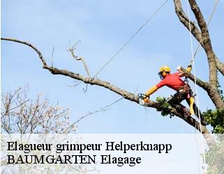 Elagueur grimpeur  helperknapp- BAUMGARTEN Elagage