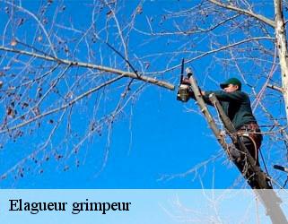 Elagueur grimpeur