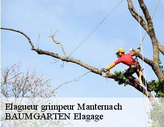 Elagueur grimpeur manternach- BAUMGARTEN Elagage