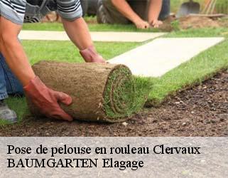 Pose de pelouse en rouleau  clervaux- BAUMGARTEN Elagage