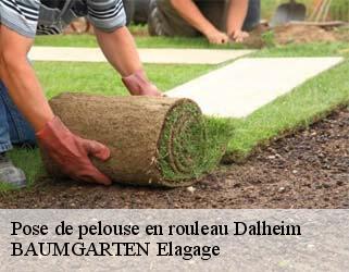 Pose de pelouse en rouleau  dalheim- BAUMGARTEN Elagage