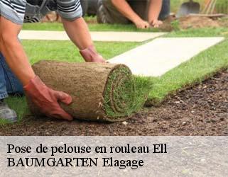 Pose de pelouse en rouleau  ell- BAUMGARTEN Elagage