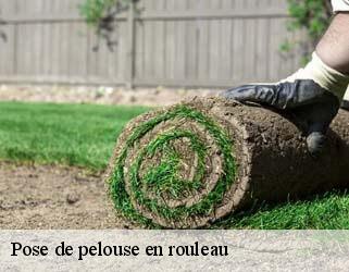 Pose de pelouse en rouleau