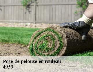 Pose de pelouse en rouleau  4959