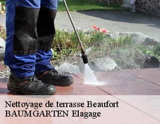 Nettoyage de terrasse  beaufort- BAUMGARTEN Elagage