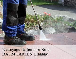 Nettoyage de terrasse  bous- BAUMGARTEN Elagage