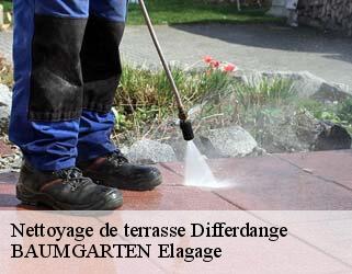 Nettoyage de terrasse  differdange- BAUMGARTEN Elagage