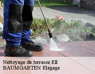 Nettoyage de terrasse  ell- BAUMGARTEN Elagage