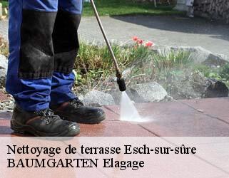 Nettoyage de terrasse esch-sur-sure- BAUMGARTEN Elagage