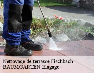 Nettoyage de terrasse fischbach- BAUMGARTEN Elagage