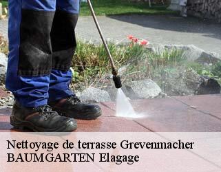 Nettoyage de terrasse  grevenmacher- BAUMGARTEN Elagage