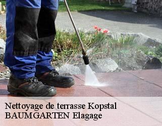 Nettoyage de terrasse  kopstal- BAUMGARTEN Elagage