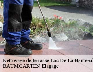 Nettoyage de terrasse  lac-de-la-haute-sure- BAUMGARTEN Elagage