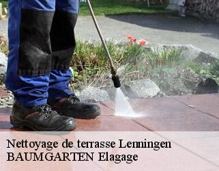 Nettoyage de terrasse  lenningen- BAUMGARTEN Elagage