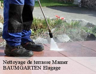 Nettoyage de terrasse mamer- BAUMGARTEN Elagage