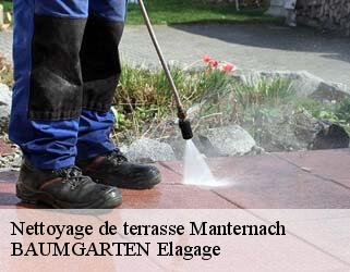 Nettoyage de terrasse manternach- BAUMGARTEN Elagage