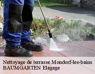 Nettoyage de terrasse  mondorf-les-bains- BAUMGARTEN Elagage