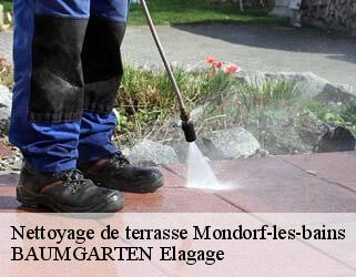 Nettoyage de terrasse mondorf-les-bains- BAUMGARTEN Elagage
