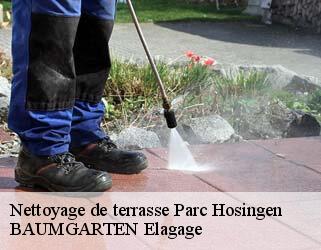 Nettoyage de terrasse  parc-hosingen- BAUMGARTEN Elagage