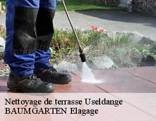 Nettoyage de terrasse useldange- BAUMGARTEN Elagage