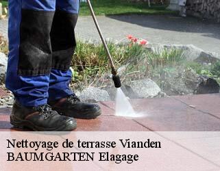 Nettoyage de terrasse  vianden- BAUMGARTEN Elagage