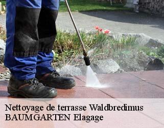 Nettoyage de terrasse  waldbredimus- BAUMGARTEN Elagage