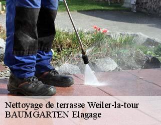 Nettoyage de terrasse  weiler-la-tour- BAUMGARTEN Elagage