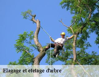 Elagage et etetage d'arbre  