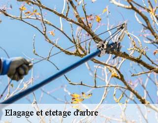 Elagage et etetage d'arbre