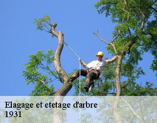 Elagage et etetage d'arbre  1931