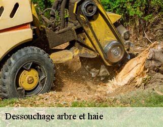 Dessouchage arbre et haie  